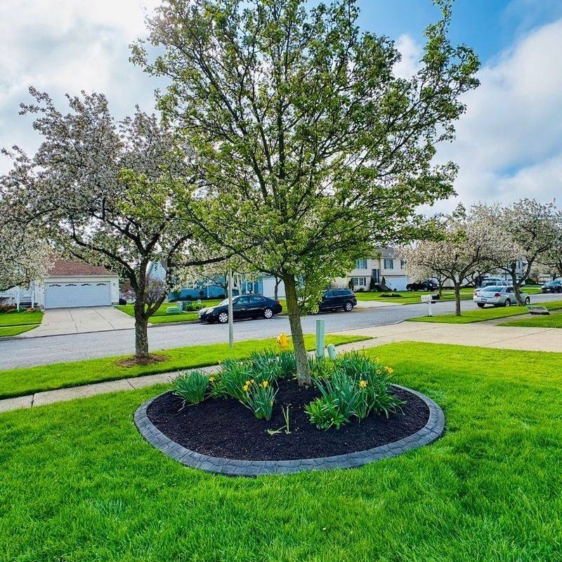 Create A Defined Mulch Border