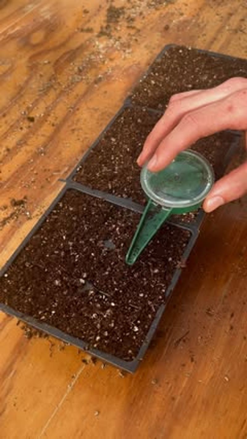 Choose Fresh, High-Quality Seeds