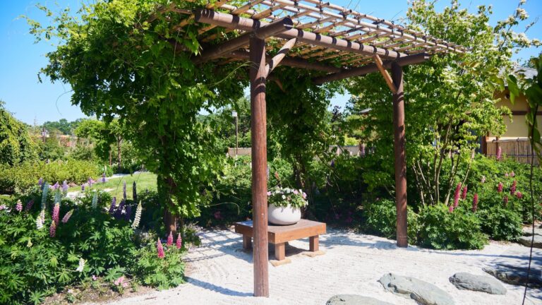Pergola