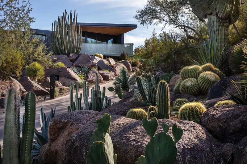 Desert Oasis Design