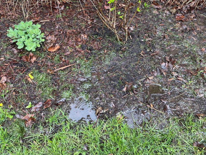 Improve Soil Drainage