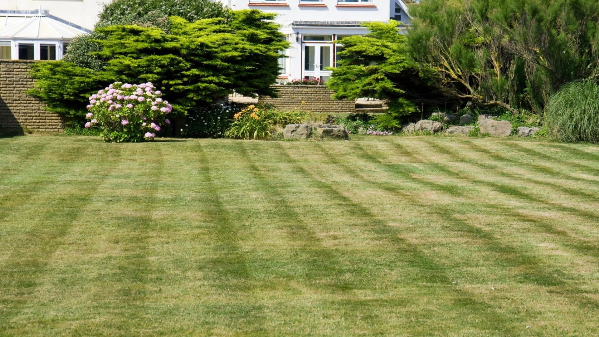 18 Telltale Signs Heat Stress Is Damaging Your Lawn (And How To Reverse It Fast)