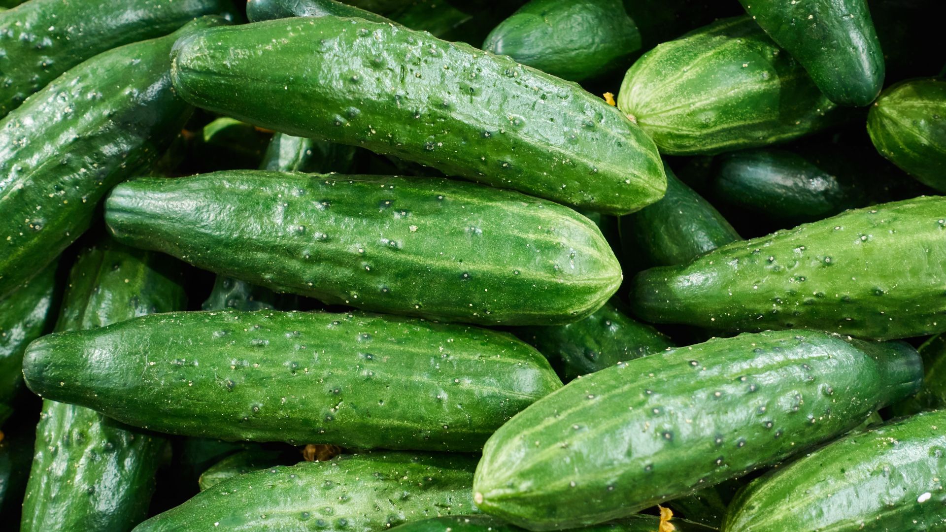 18 Vegetables That Provide Continuous Harvests All Season Long