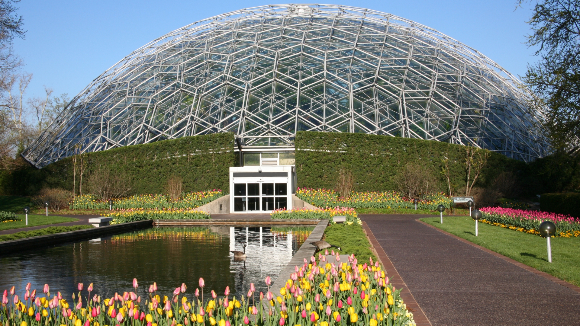 19 Botanical Gardens In The U.S. That Feel Like Fantasy Worlds