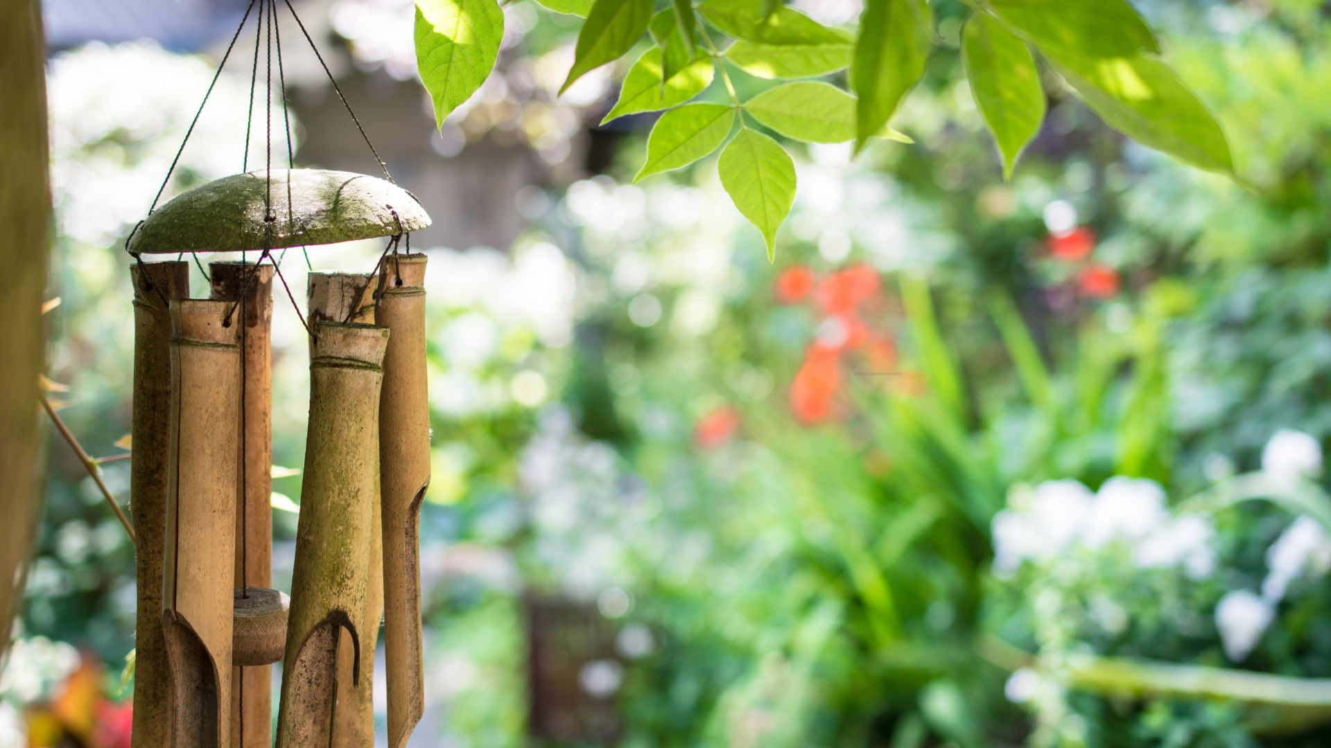 19 Landscaping Features That Are Really Annoying Your Neighbors