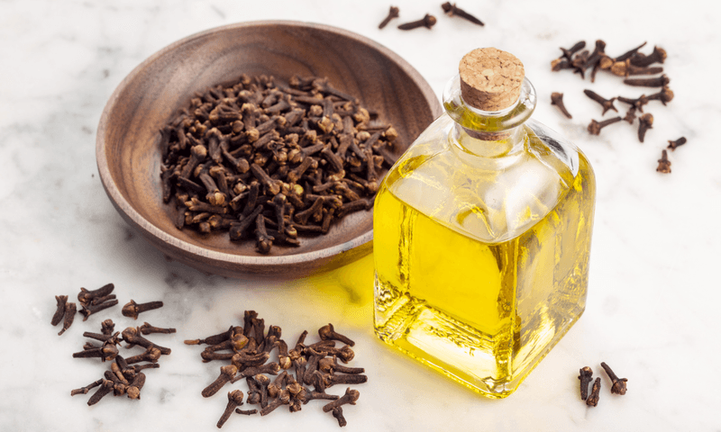 3. Clove Essential Oil