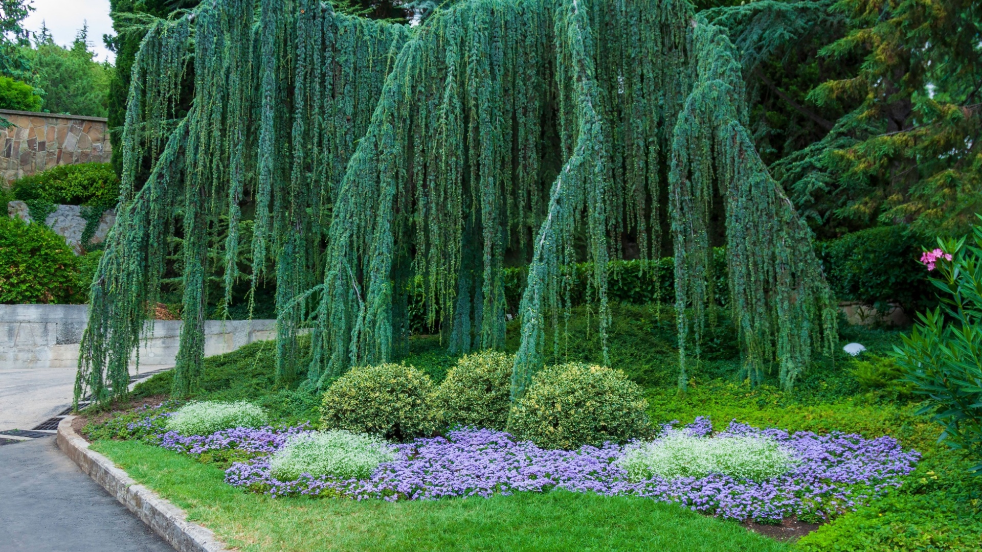 20 Luxury Plants That Will Instantly Elevate Your Garden