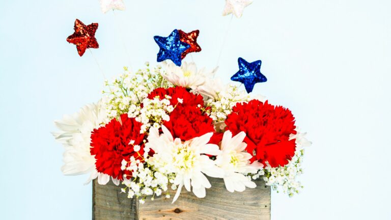 4th of july combo plants