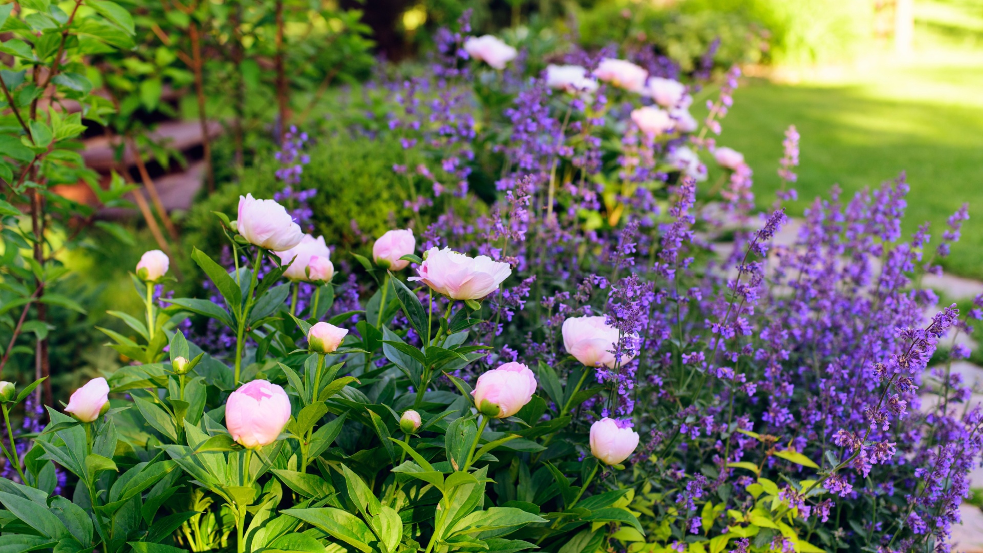 20 Stunning Flower Combos That’ll Make Your Front Yard The Talk Of The Block