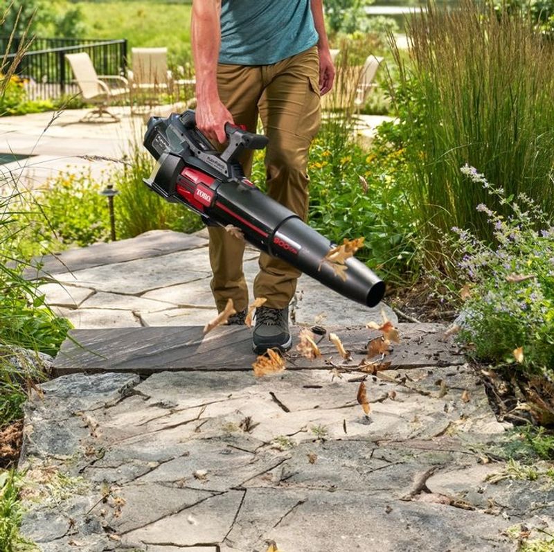 Gas-Powered Leaf Blowers