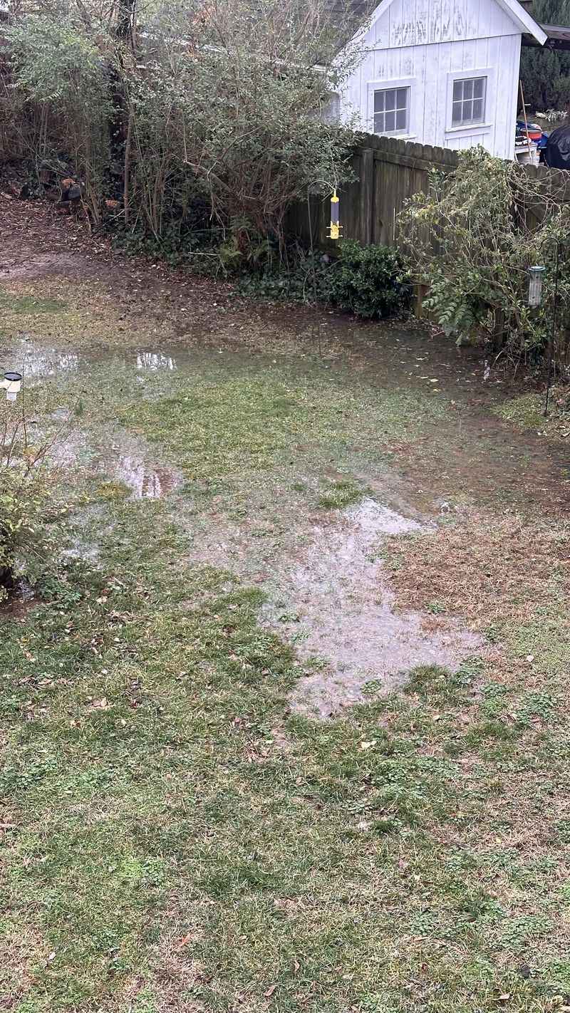 Standing Water