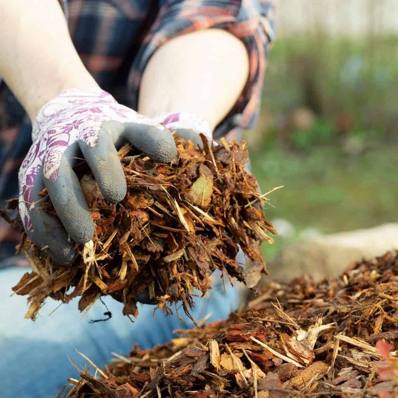 6. Use Cedar Mulch In Garden Beds