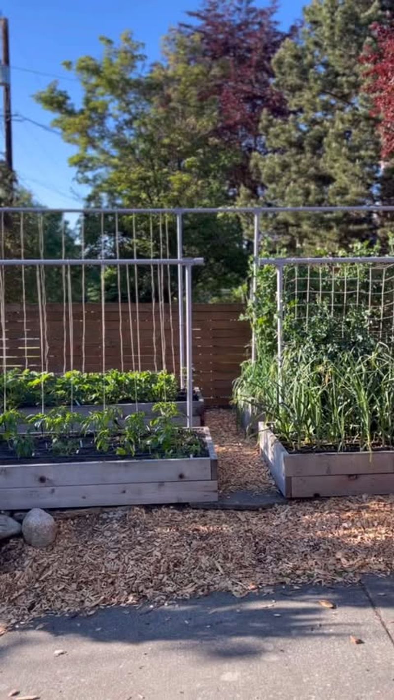 8. Natural Trellising Opportunities