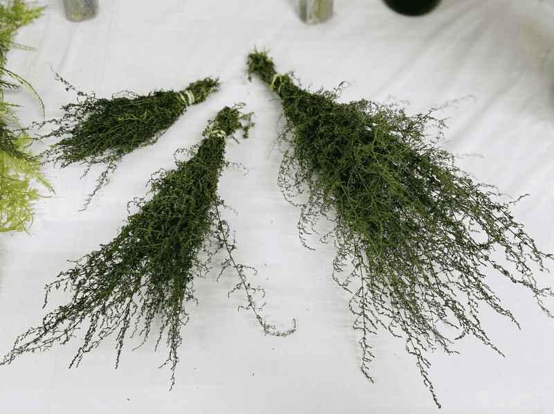 8. Wormwood's Ancient Power