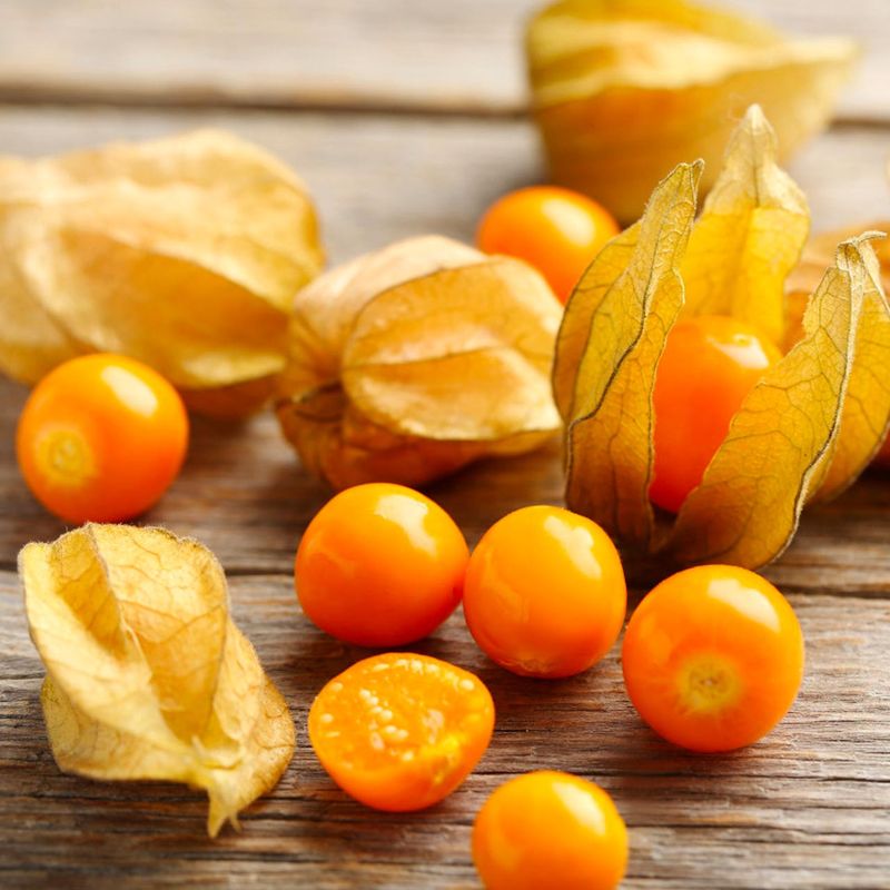 9. Ground Cherries