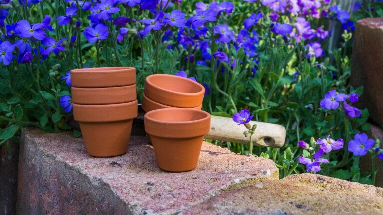 terracota pots