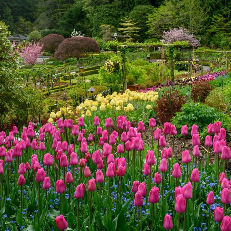Over 900 Plant Varieties on Display