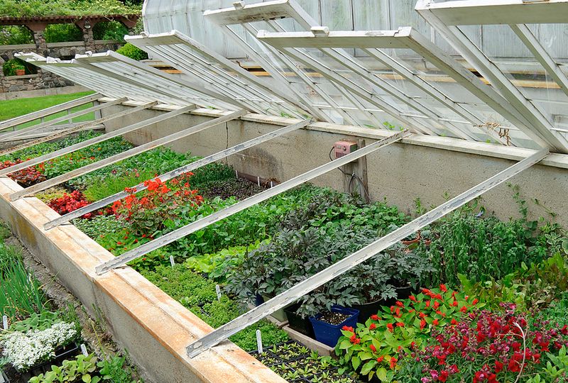 Raised Bed Cold Frame Combo