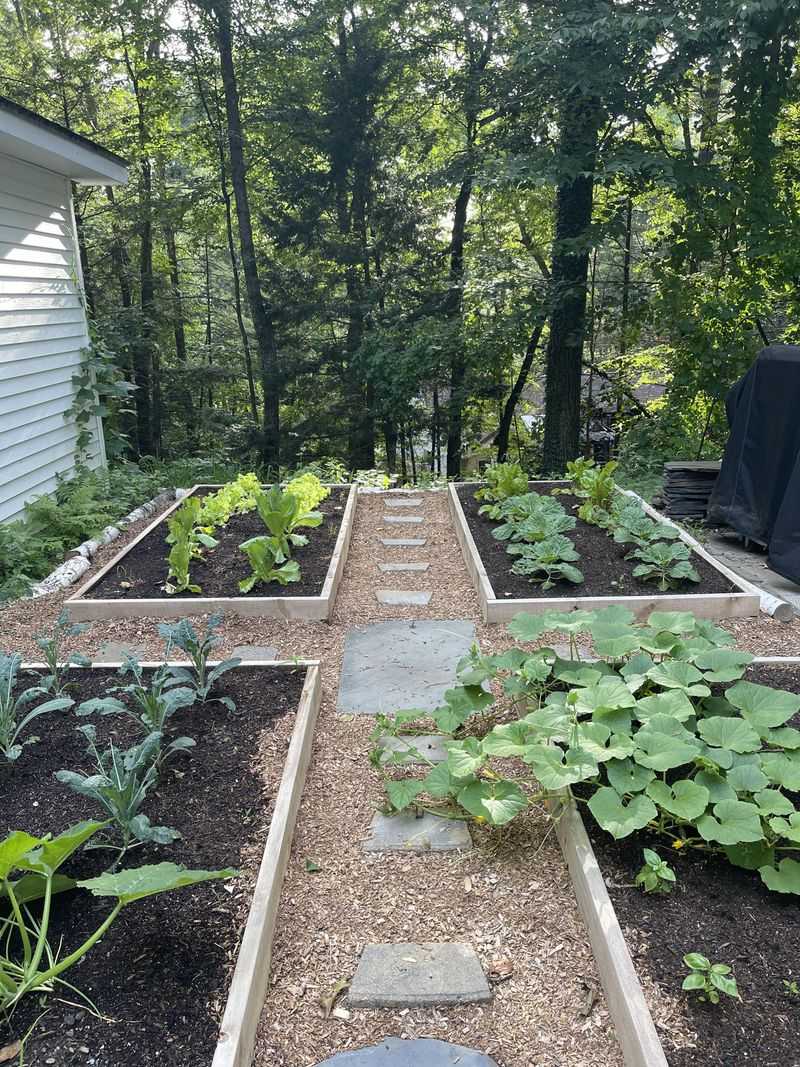 Vegetable Gardens