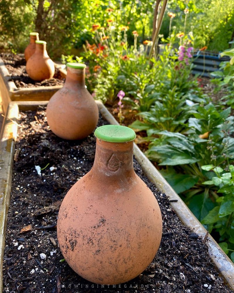 Ollas Underground Watering