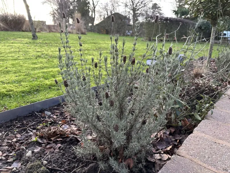 Low-Lying Frost Pockets