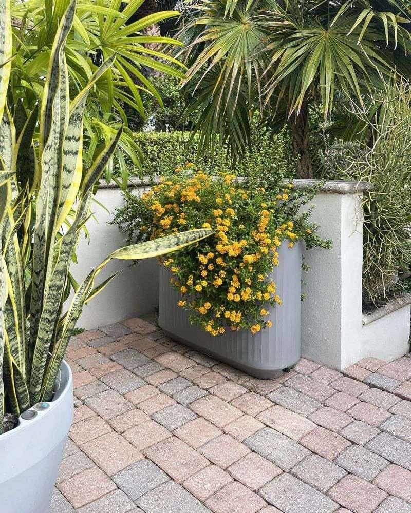 Use Light-Colored Containers