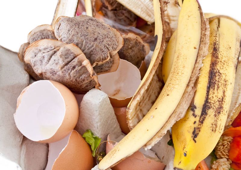 Blend In Crushed Eggshells And Banana Peels
