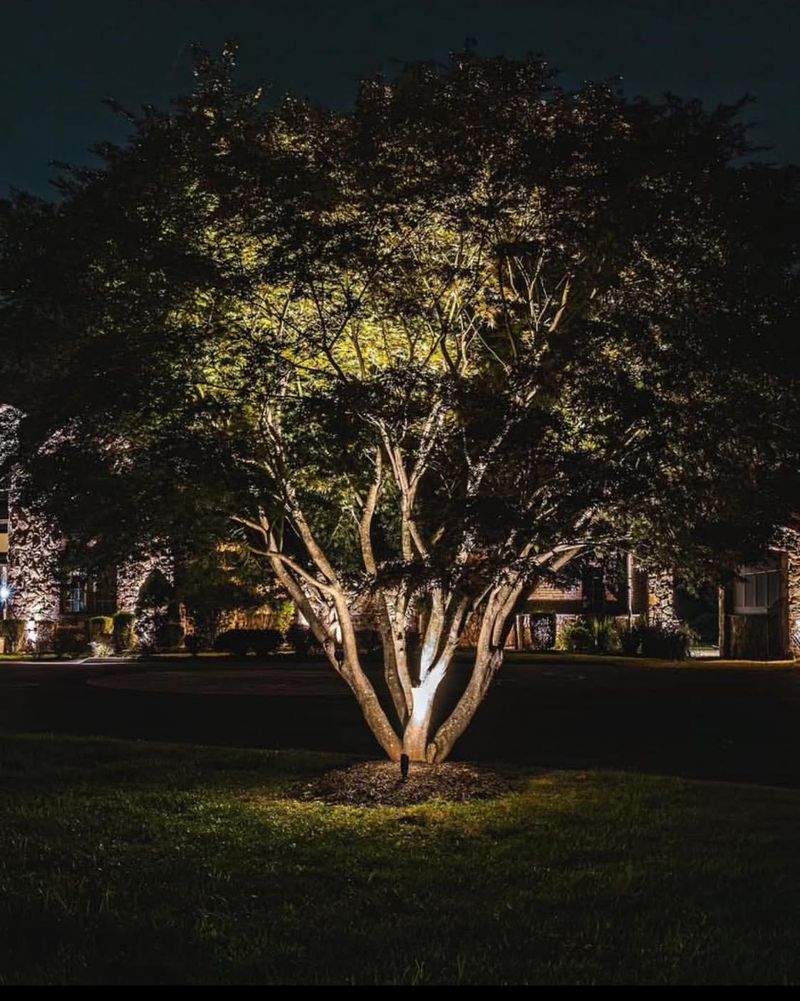 Install Inexpensive Landscape Lighting