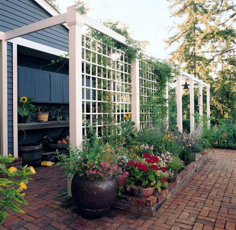 Build A Simple Trellis Screen