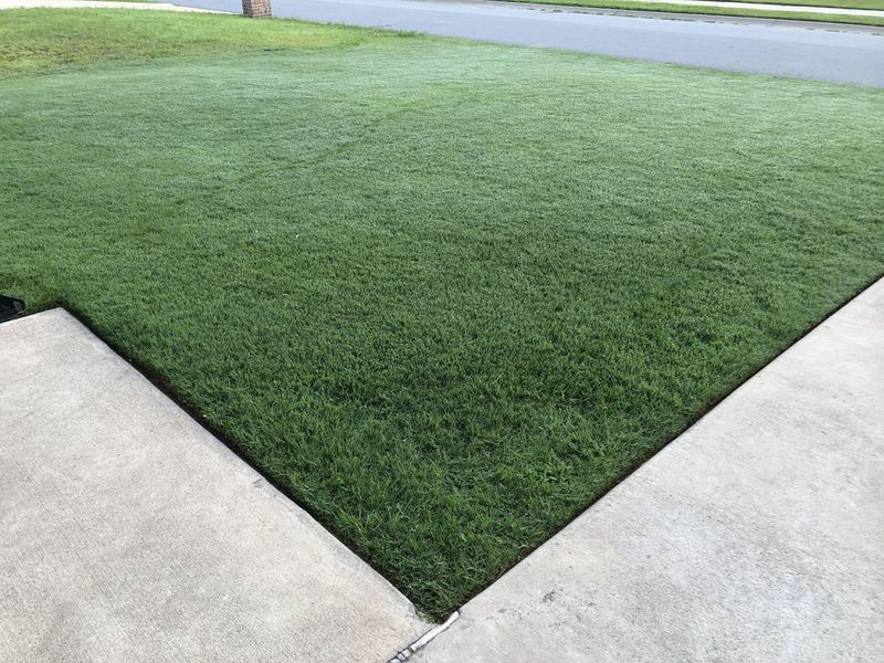 Manage Morning Dew