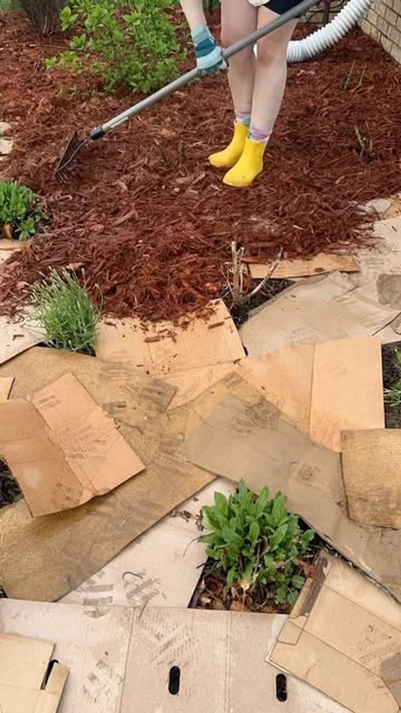 Keep Weeds Under Control