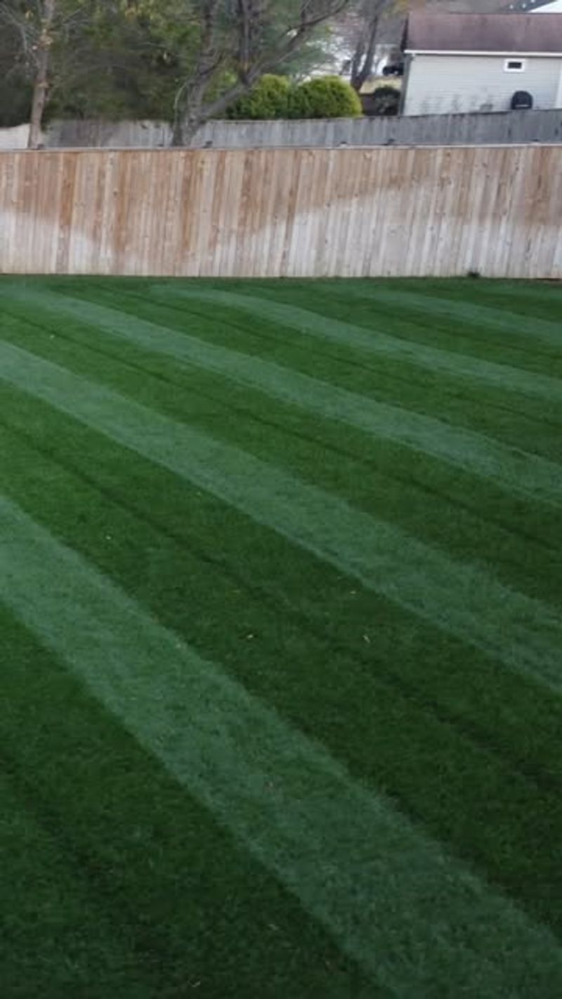 Try a Different Grass Seed Variety
