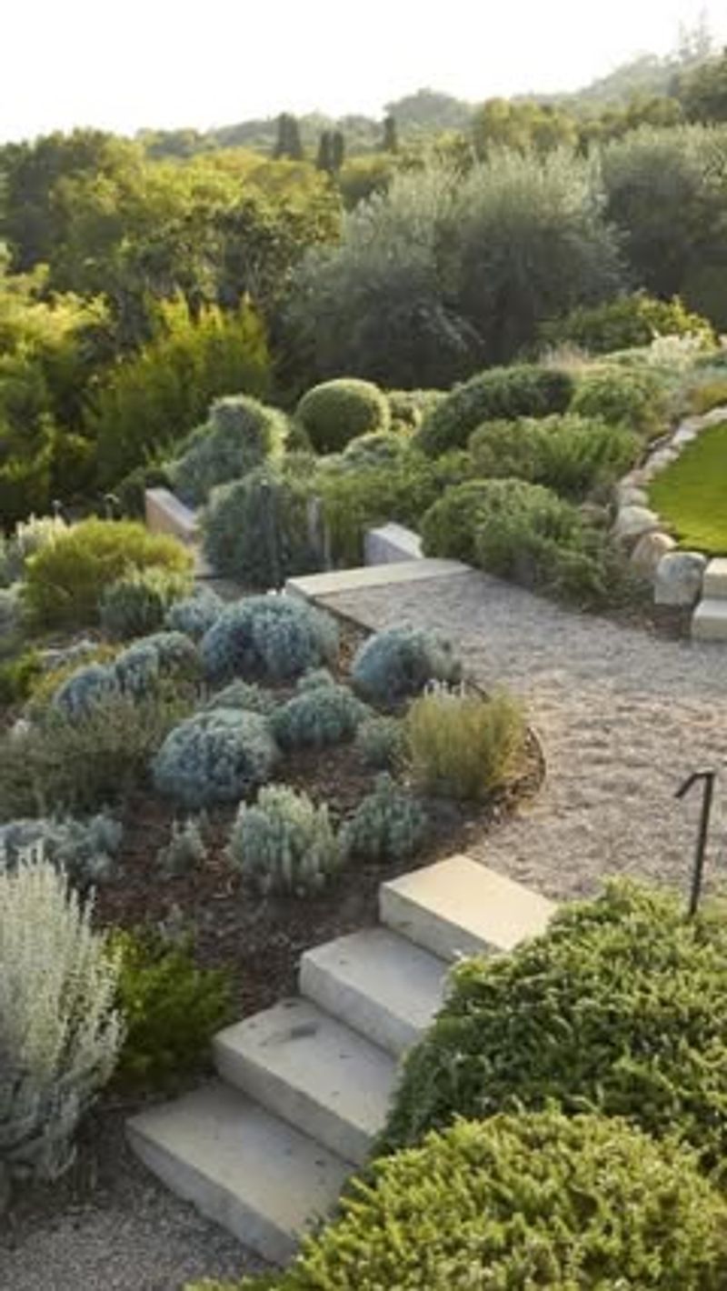 Plant in Groups of Odd Numbers