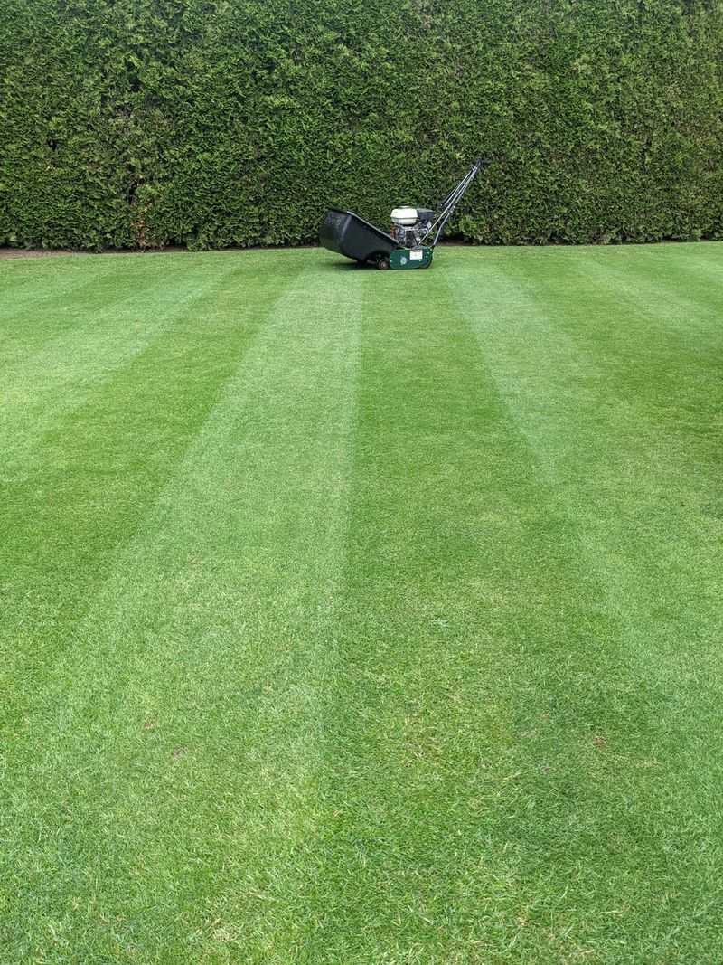 Mow High Before Fertilizing