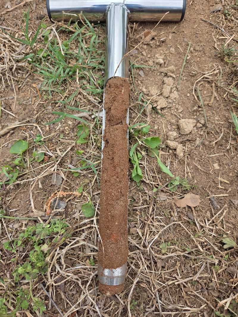 NEVER Skip Soil Testing