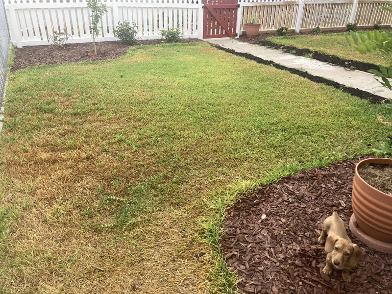 Reduce Fertilizer During Drought