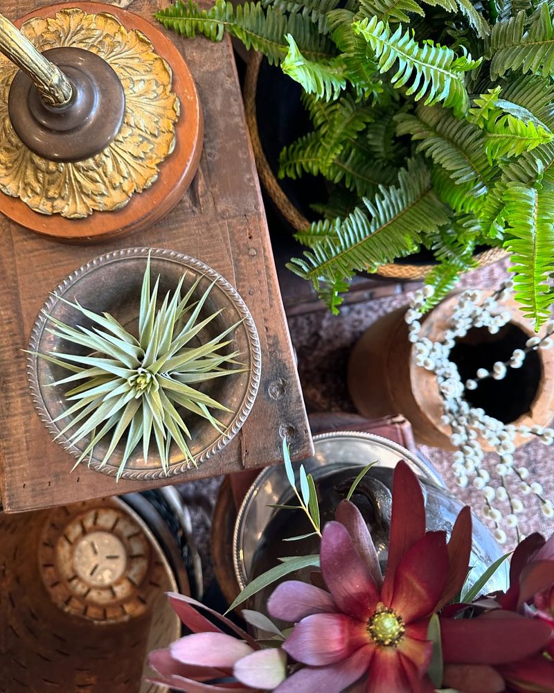 Versatile Displays