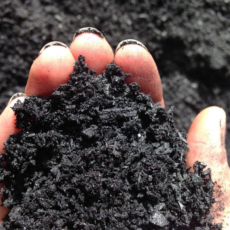 Biochar: Ancient Carbon-Sequestering Amendment