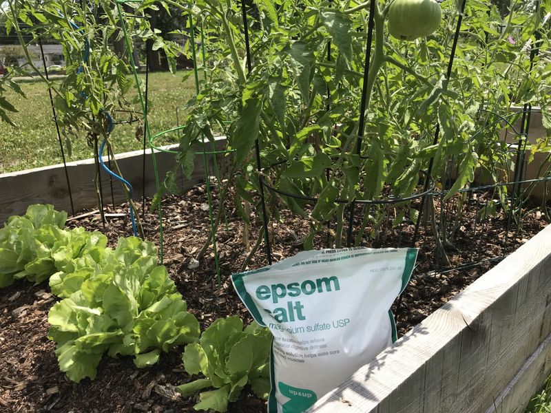 Epsom Salt: Magnesium Magic