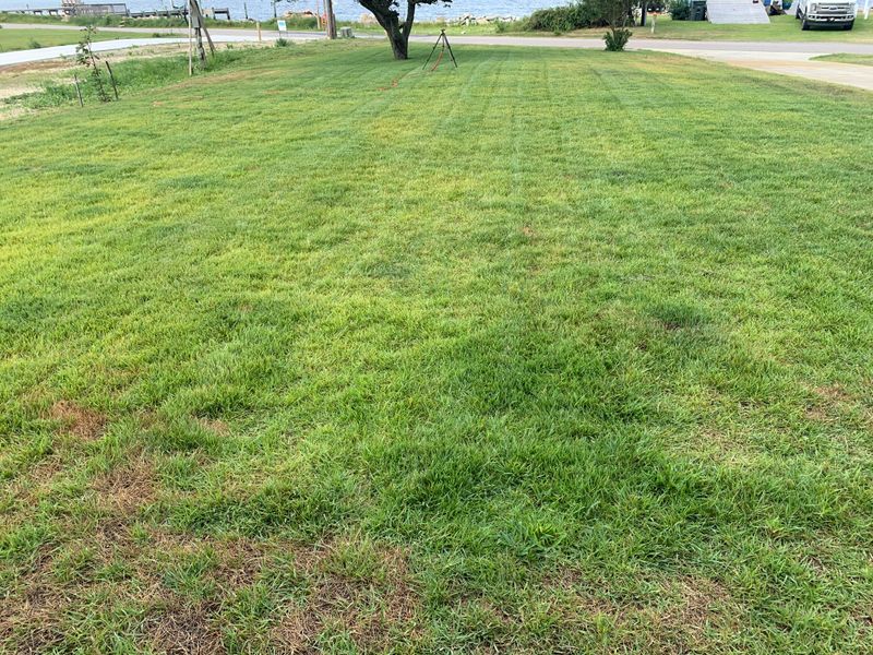 Sandy Soil Is Bad For Lawns
