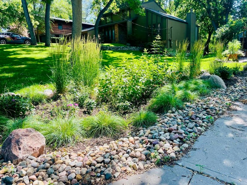 Rain Garden with Decorative Stone