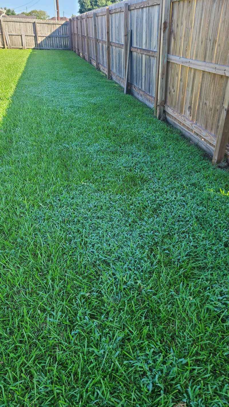 Lawn Infiltration