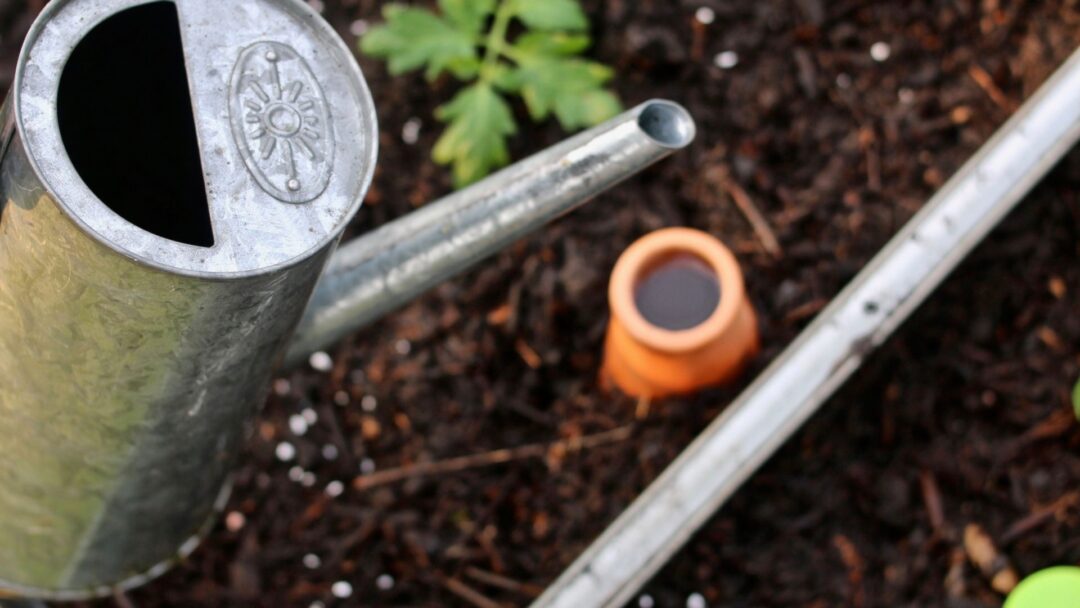 Ancient Vegetable Growing Practices Still Used In New Mexico Today