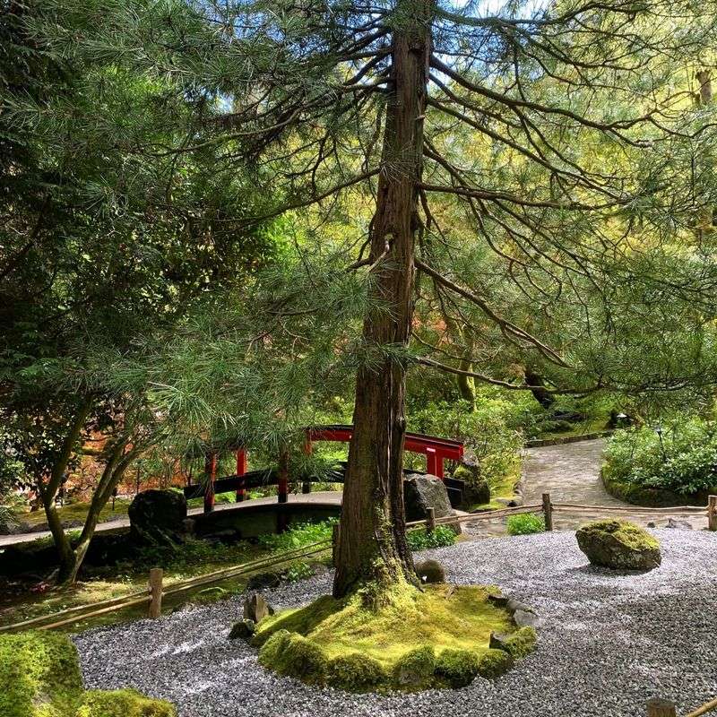 Japanese Garden's Authentic Design