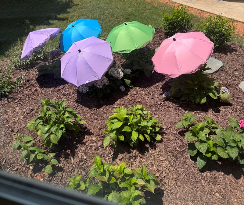 Create Temporary Shade
