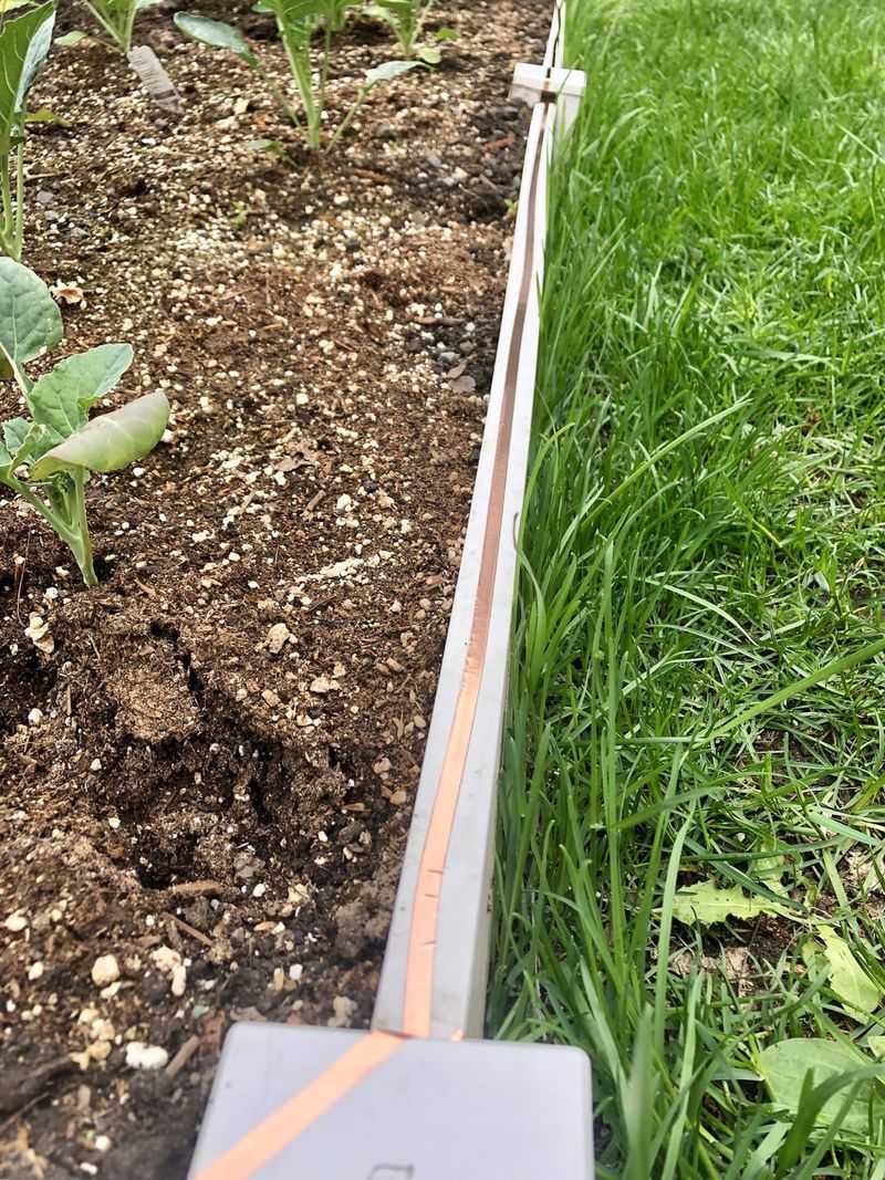 Create Pest Barriers