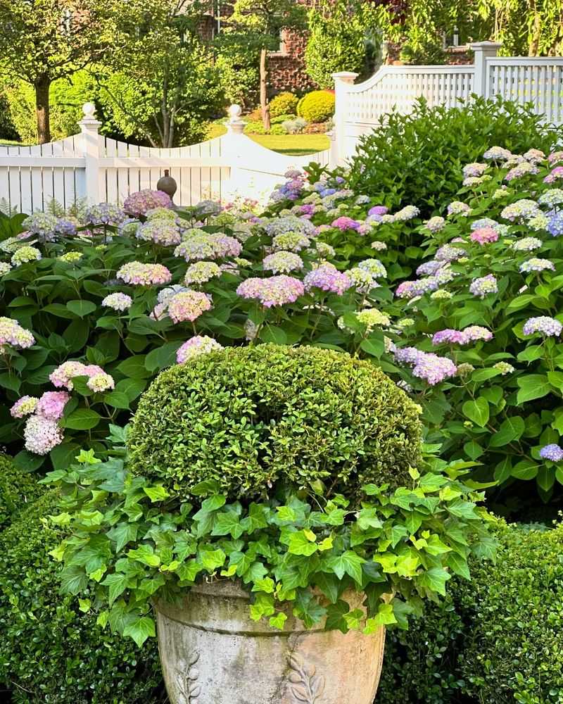 Create Detailed Garden Records