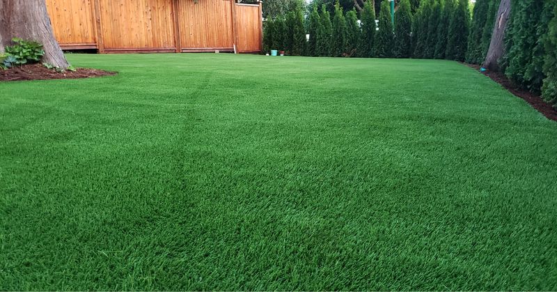 Install Sod for Instant Results