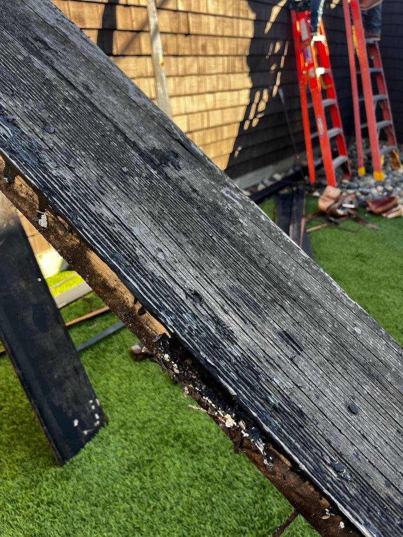 Paint That Weathered Fence (Mistake)