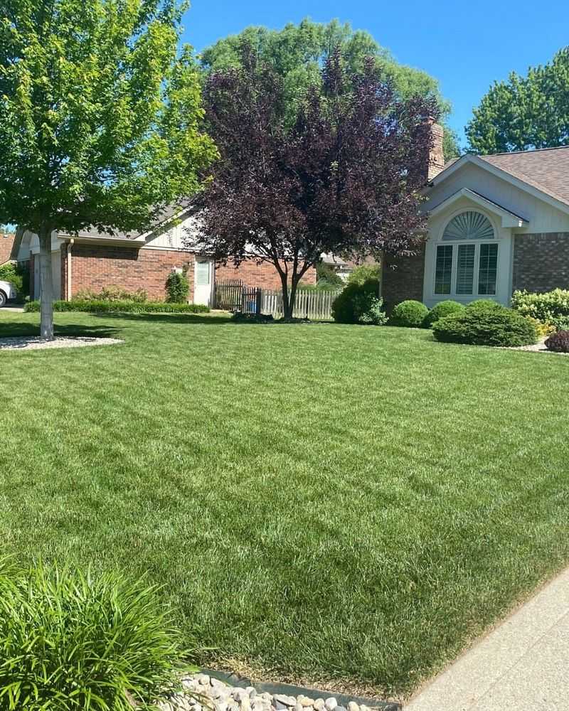 Reduce Nitrogen